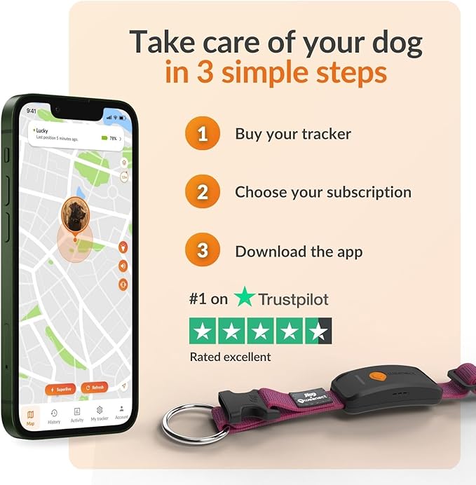 Weenect Dog XT - New GPS Collar - Image 8