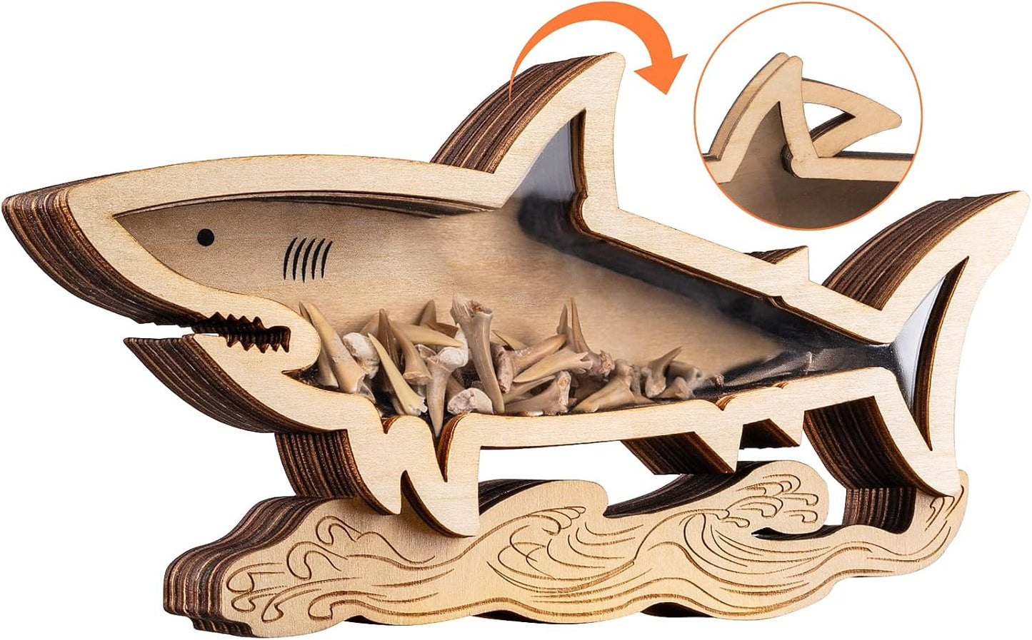 Shark Tooth Display Case 8.7 Inch,Wooden Shark Tooth Holder,Wood Shark Tooth Shadow Box,Shark-Shaped Display for Shark Tooth Collectors,Gifts for Vacation Beach Home Decor