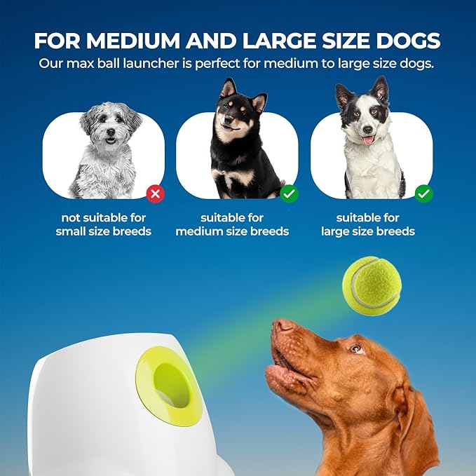 ALL FOR PAWS Automatic Dog Ball Launcher for Medium to Large Dogs, Interactive - Image 5