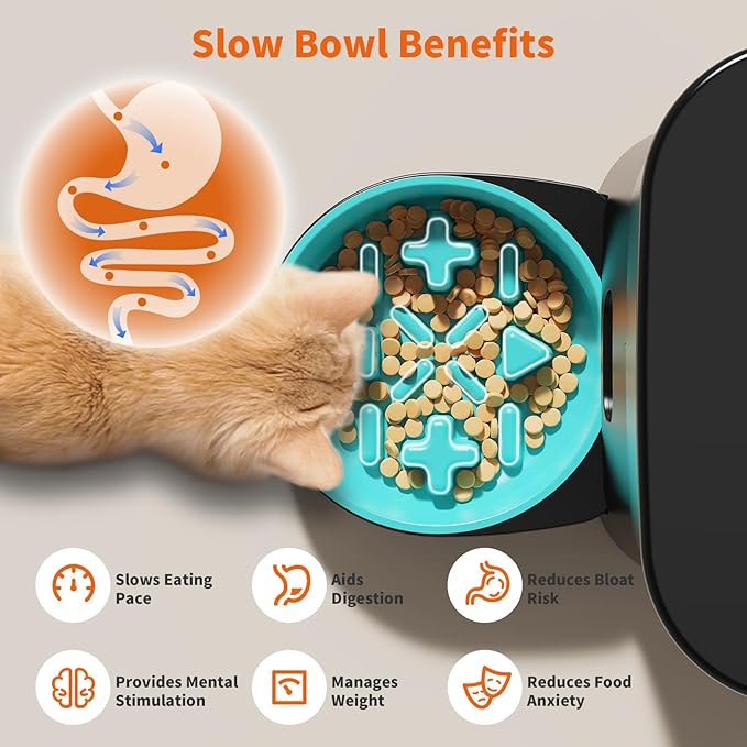 HoneyGuaridan Automatic Cat Feeder - Image 3