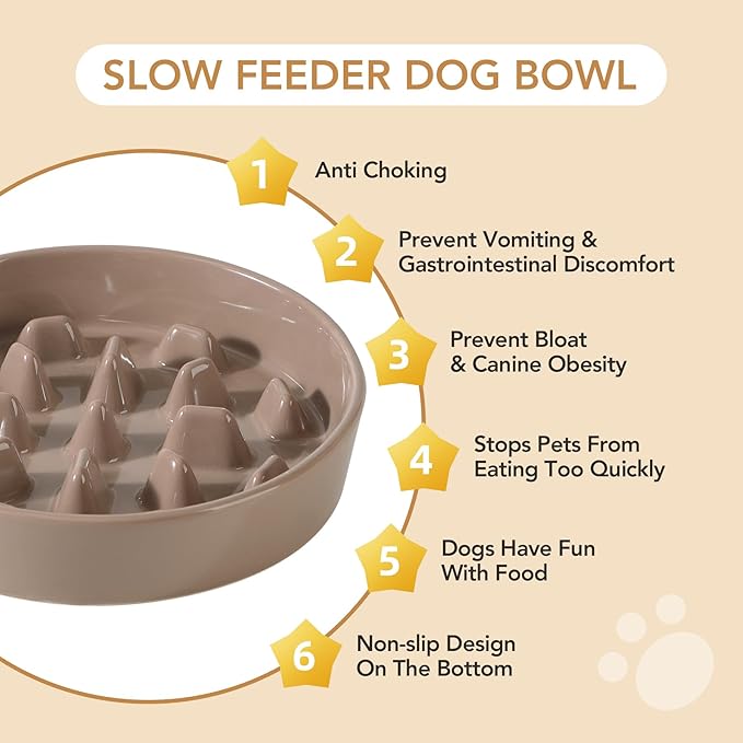 Ceramic 3.2 Cup Dog Bowl Slow Feeder, 9.5 inch Slow Pet Food Dish - Image 6