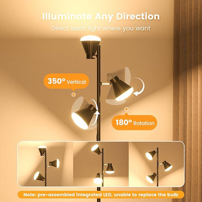 SIBRILLE 36W LED Tree Floor Lamp, Dimmable Tall Standing Lamp - Image 5