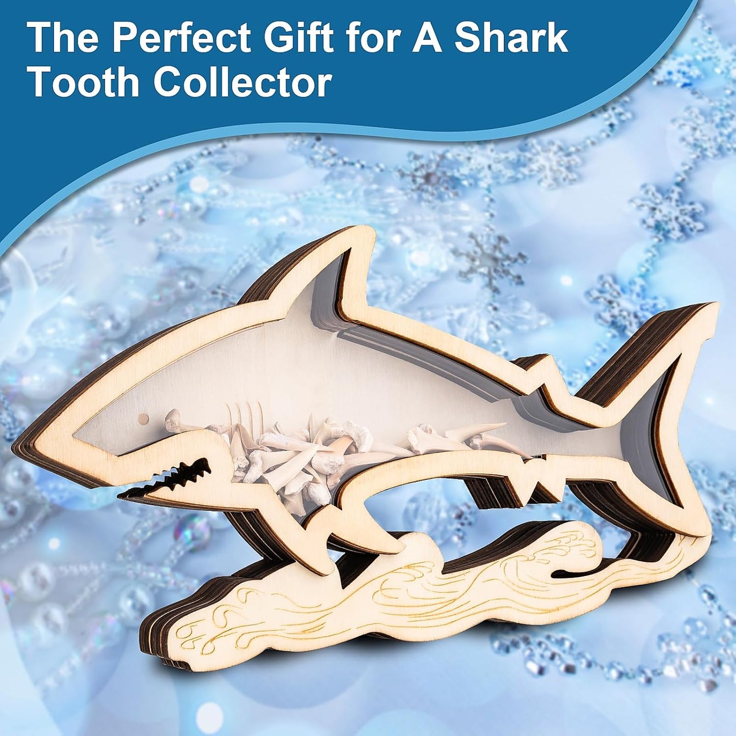 8.7 In Shark Tooth Display Case,Handmade Shark Teeth Shadow Boxes Display Cases,Wood Shark Teeth Holder,Shark Tooth Display Box,Shark Tooth Collection,Shark Decor Beach Gifts