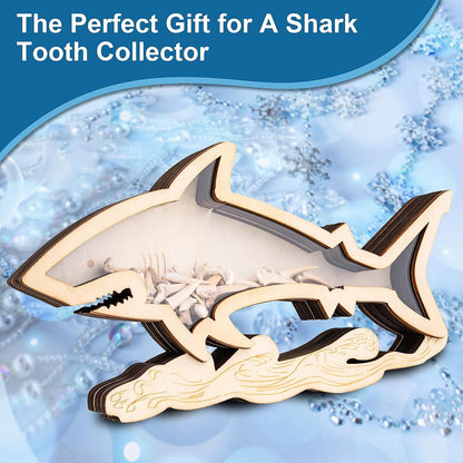 8.7 In Shark Tooth Display Case,Handmade Shark Teeth Shadow Boxes Display Cases,Wood Shark Teeth Holder,Shark Tooth Display Box,Shark Tooth Collection,Shark Decor Beach Gifts