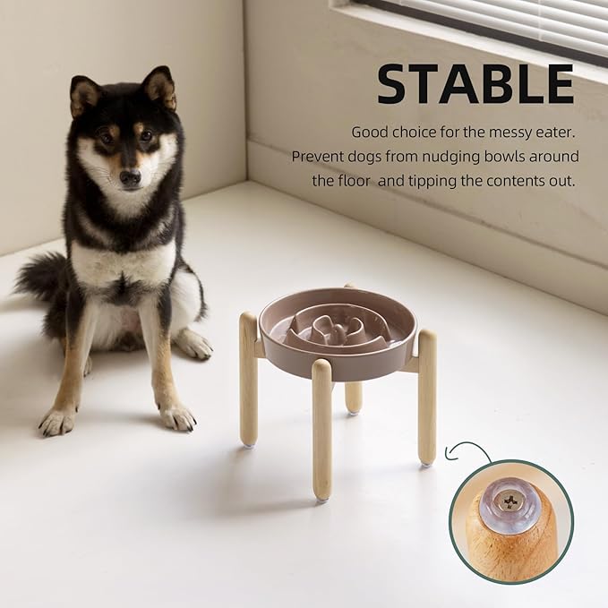 Ceramic 1.6 Cup Raised Slow Feeder Dog Bowl Set, Elevated Wooden Stand - Image 6