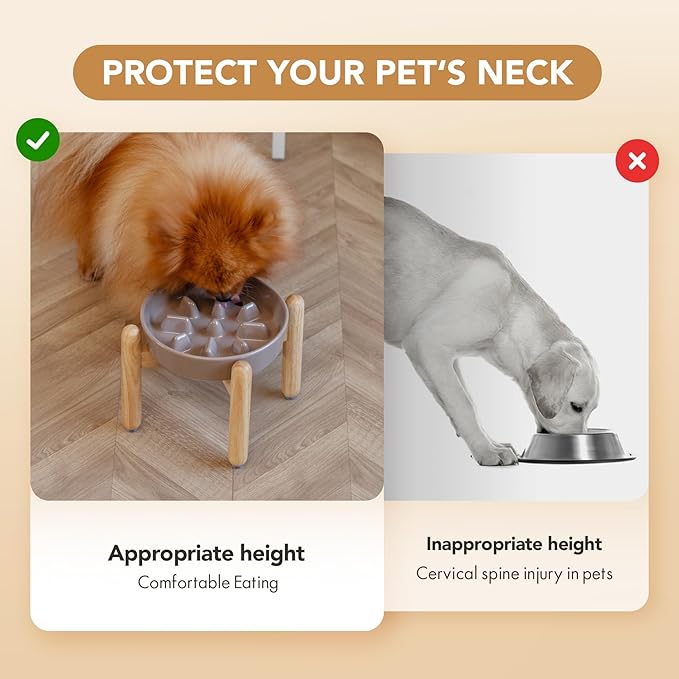 Ceramic 1.2 Cup Dog Raised Slow Feeder Set, Elevated Bowl - Image 7