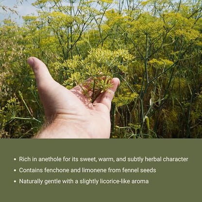 Fennel Essential Oil - Image 7