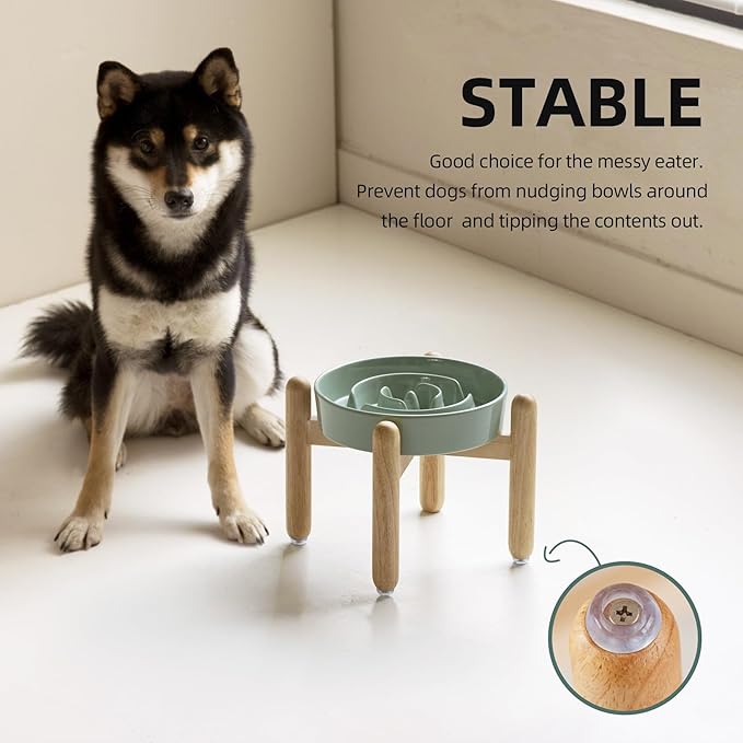 Ceramic 1.2 Cup Raised Slow Feeder Dog Bowl Set, Elevated Wooden Stand - Image 6