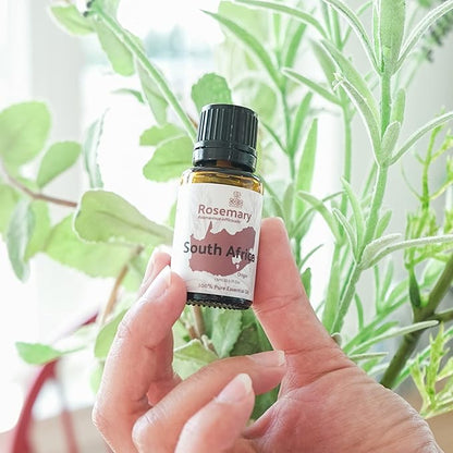 Rosemary Essential Oil - Image 6