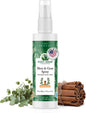 Foot Sense – Shoe Deodorizer & Foot Spray – Natural Foot & Shoe Odor Eliminator by FOOTSENSE