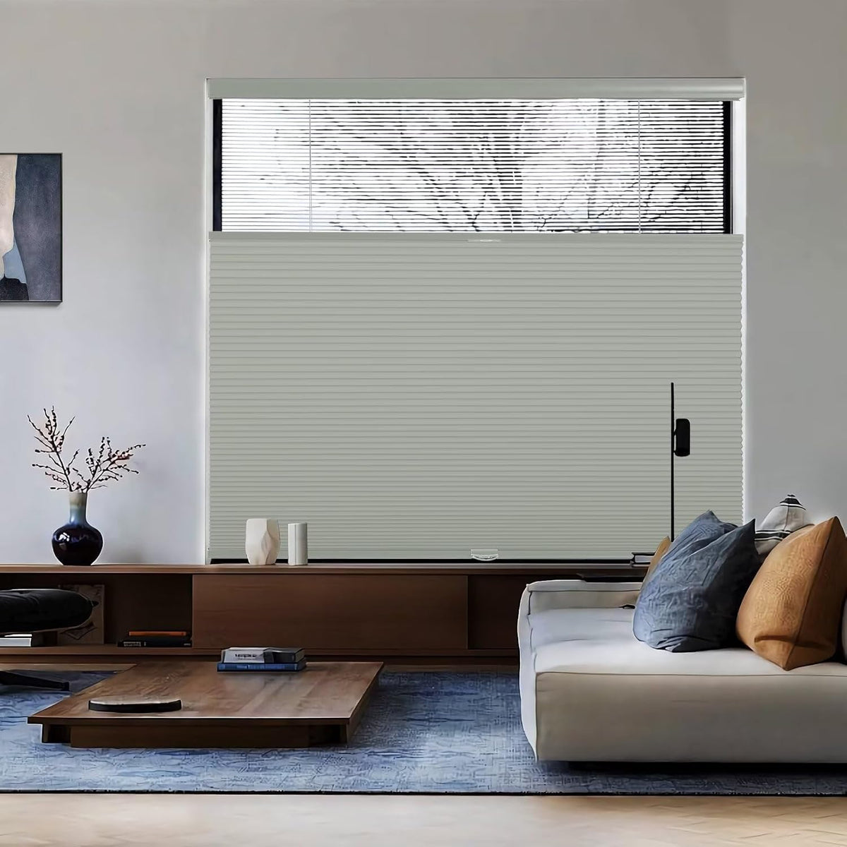 Top Down Bottom Up（TDBU） Cellular Shades, 1.5 inch Cordless Blackout Honeycomb Pleated Blinds for Windows Home Bedroom Office, Light Control, Thermal Insulated, 35" W x 64" H, Gray