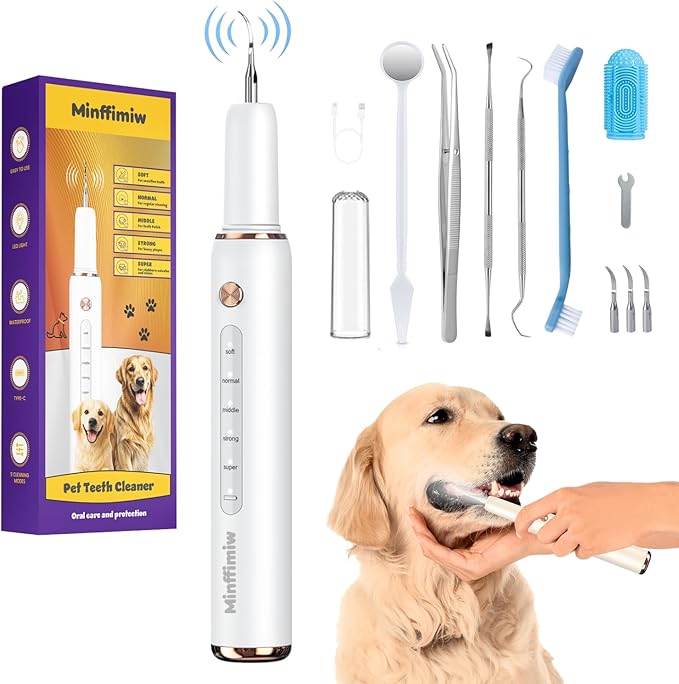Dog Plaque and Tartar Remover by Unknown