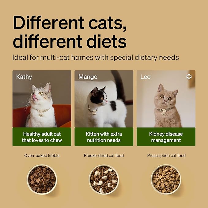 PETLIBRO RFID Automatic Cat Feeders - Image 6