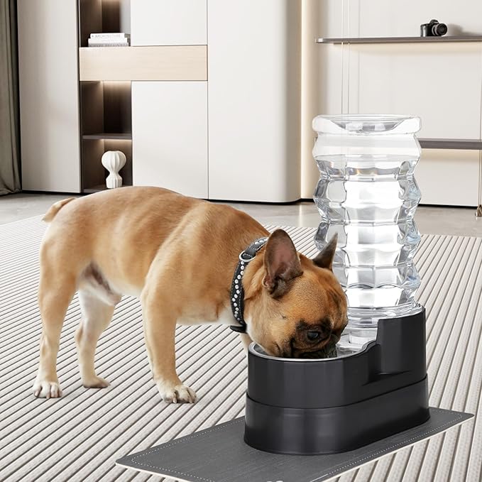 RIZZARI Large Water Dispenser for Dogs: 8L Raised Black Auto-Refill Stainless - Image 6