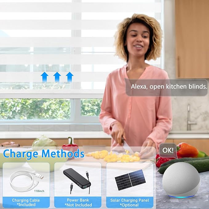 COOLWINDS Motorized Zebra Blinds - Image 5
