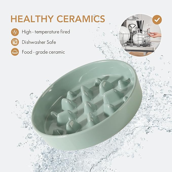 Ceramic Raised Slow Feeder Dog Bowl Set, Elevated 7.3inch Bowl and 8.2inch Slow - Image 4