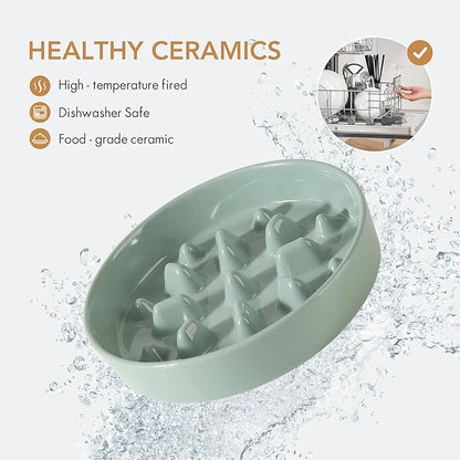 Ceramic Raised Slow Feeder Dog Bowl Set, Elevated 7.3inch Bowl and 8.2inch Slow - Image 4