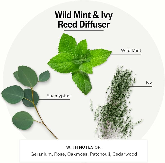 Apotheke Luxury Scented Reed Diffuser - Image 2