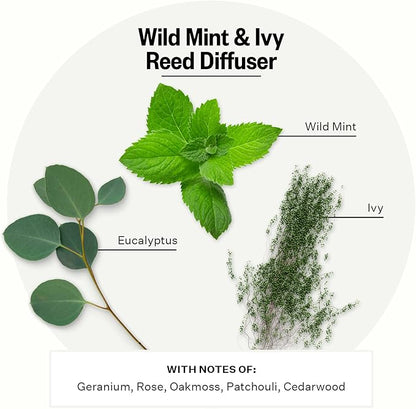 Apotheke Luxury Scented Reed Diffuser - Image 2