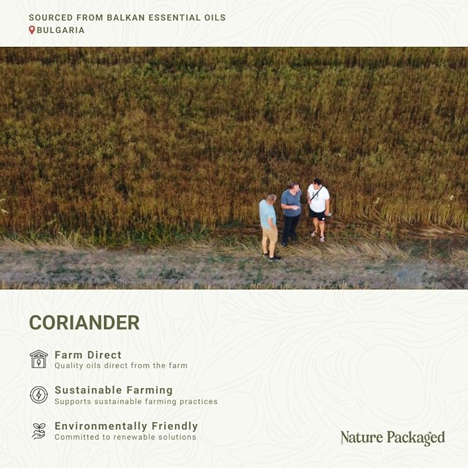 Coriander Essential Oil - Image 3