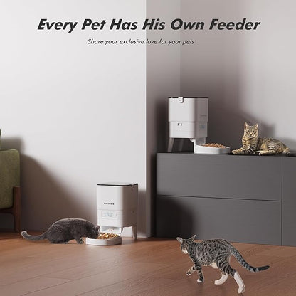 Automatic Cat Feeder - Image 3