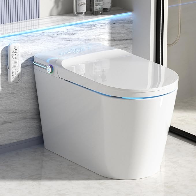 Luxury Smart Toilet Built In, Bidet by LoupusuoROMANCHAIR
