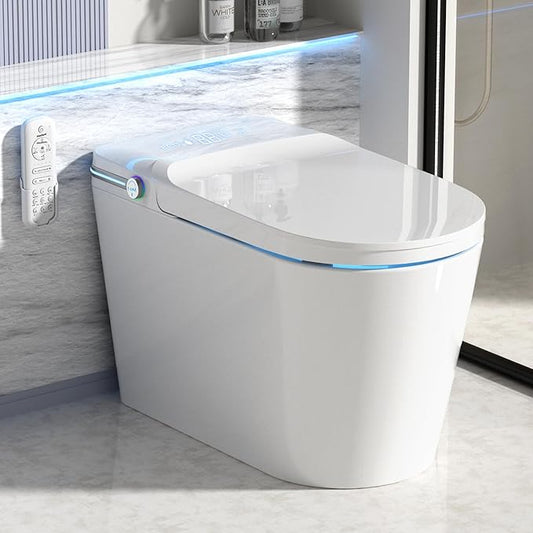 Luxury Smart Toilet Built In, Bidet by LoupusuoROMANCHAIR