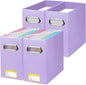 BALEINE File Organizer Box, Cardboard File Folder Organizer by BALEINE