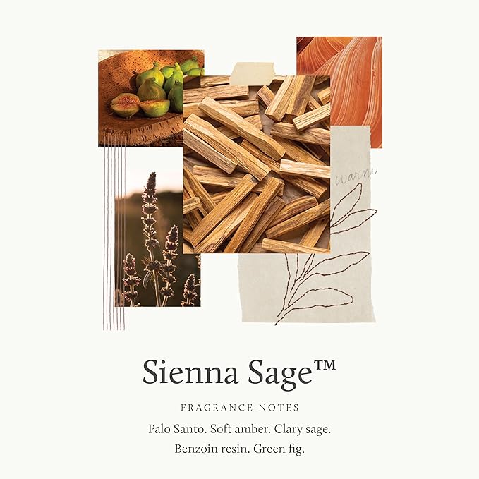 Thymes Petite Reed Diffuser Set – Includes Rattan Wood Sticks, Fragrance Oil - Image 3