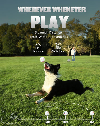 automatic ball thrower for dogs, ball launcher for, close-up detail