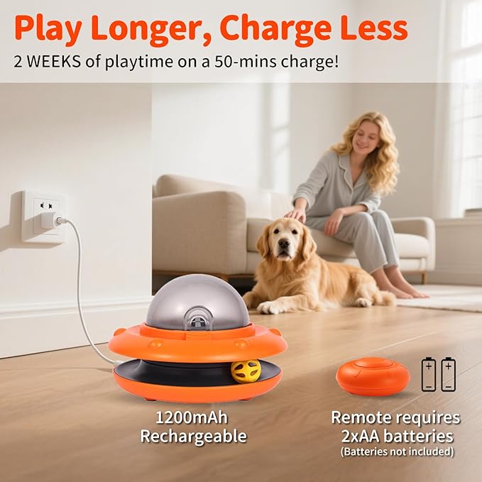 Interactive Dog Ball Track Toys - Image 4