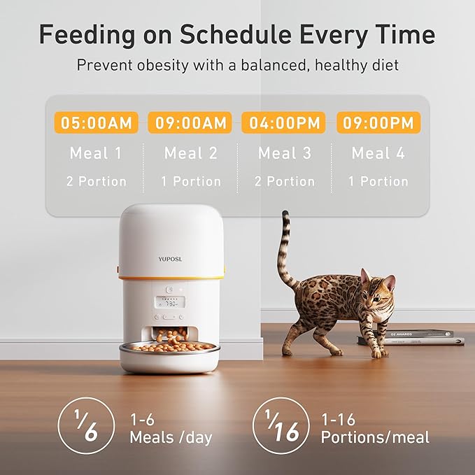 Automatic Cat Feeders - 2L Cat Food Dispenser Easy to Use - Image 2