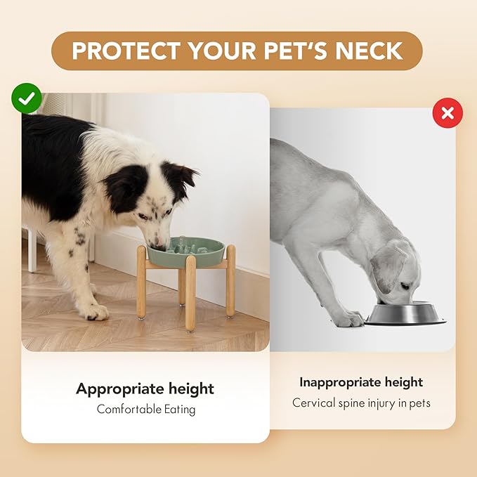 Ceramic 1.6 Cup Dog Raised Slow Feeder Set, Elevated Bowl - Image 7