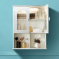 Bathroom Wall Cabinet with Lighting & Tissue Hole, Wall Mounted Glass Door by VANIRROR