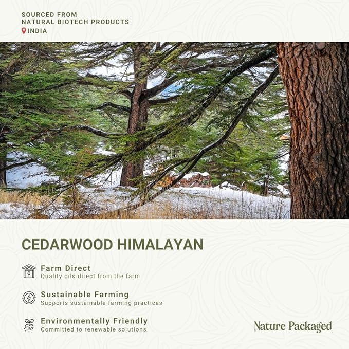 Cedarwood Himalayan Essential Oil - Image 3