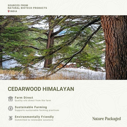 Cedarwood Himalayan Essential Oil - Image 3