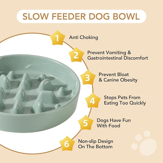 Ceramic Raised Slow Feeder Dog Bowl Set, Elevated 7.3inch Bowl and 8.2inch Slow - Image 6