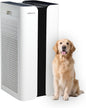 CleanForce Extra large Air Purifier by CLEANFORCEAIR