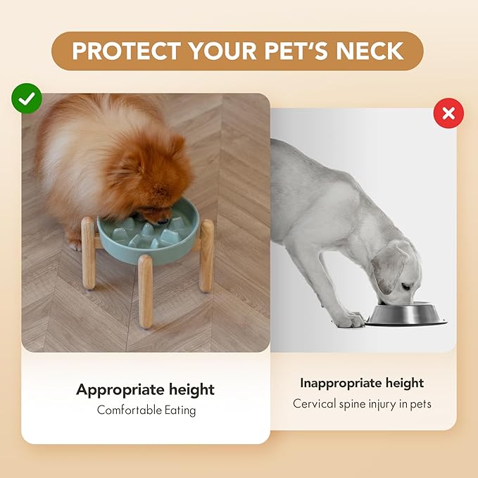 Ceramic 1.2 Cup Dog Raised Slow Feeder Set, Elevated Bowl - Image 7