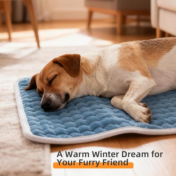 RAINOVA Heating Pad Electric Throw - Image 3
