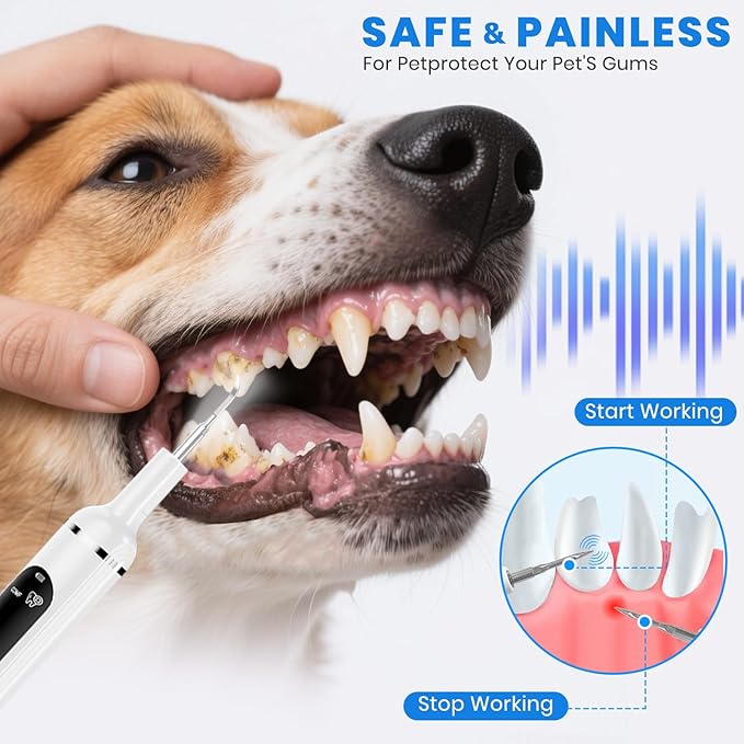 Dog Plaque Remover for Teeth, Pet Tooth Cleaner - Image 2