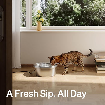 PETLIBRO Stainless Steel Cat Water Fountain, 101oz/3L Pet Water Fountain - Image 8