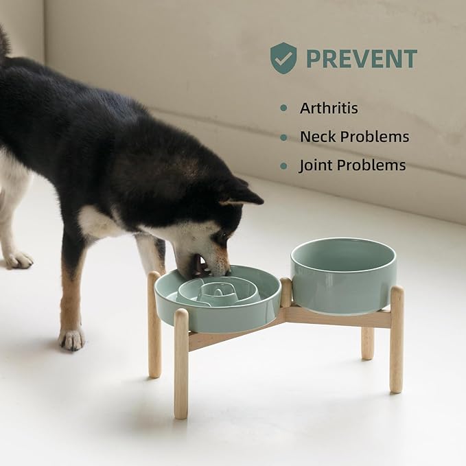 Ceramic 1.2 Cup Raised Slow Feeder Dog Bowl Set, Elevated 6.1inch Bowl and - Image 6