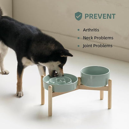 Ceramic 1.2 Cup Raised Slow Feeder Dog Bowl Set, Elevated 6.1inch Bowl and - Image 6