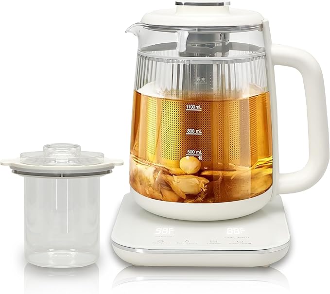 Health Pot, 1.5L Double-Layer Glass Electric Kettle by HaiiuzHi