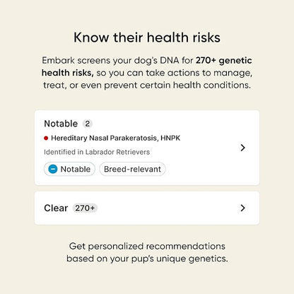 Embark Breed & Health Kit - Image 3