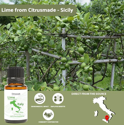 Lime Essential Oil - Image 4