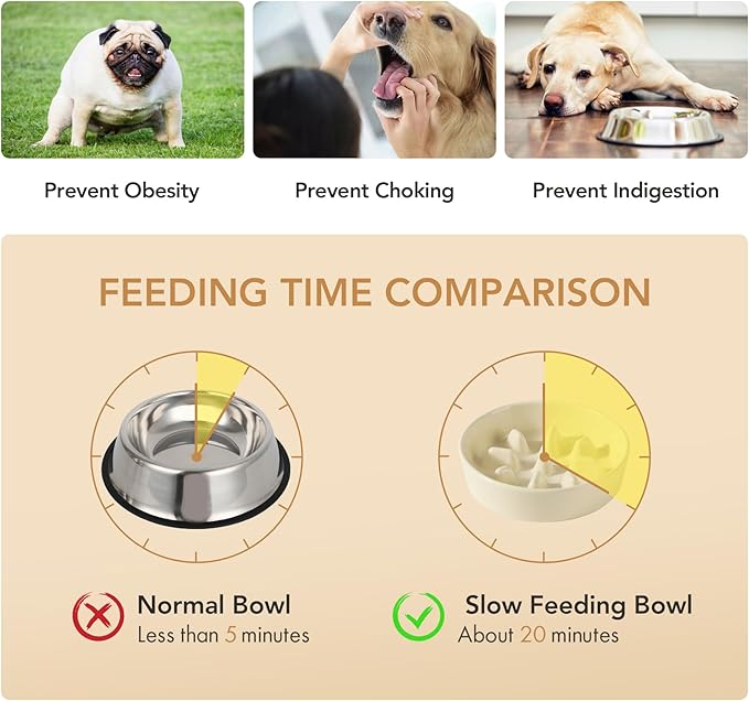 Ceramic 1.2 Cup Dog Raised Slow Feeder Set, Elevated Bowl - Image 5