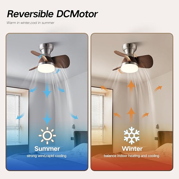 Myleoron 20 Inch Ceiling Fan - Image 5
