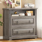 Itaar 2 Drawer File Cabinet, Farmhouse Filing Cabinet by Itaar